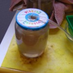 Bote agua salada con huevos artemia